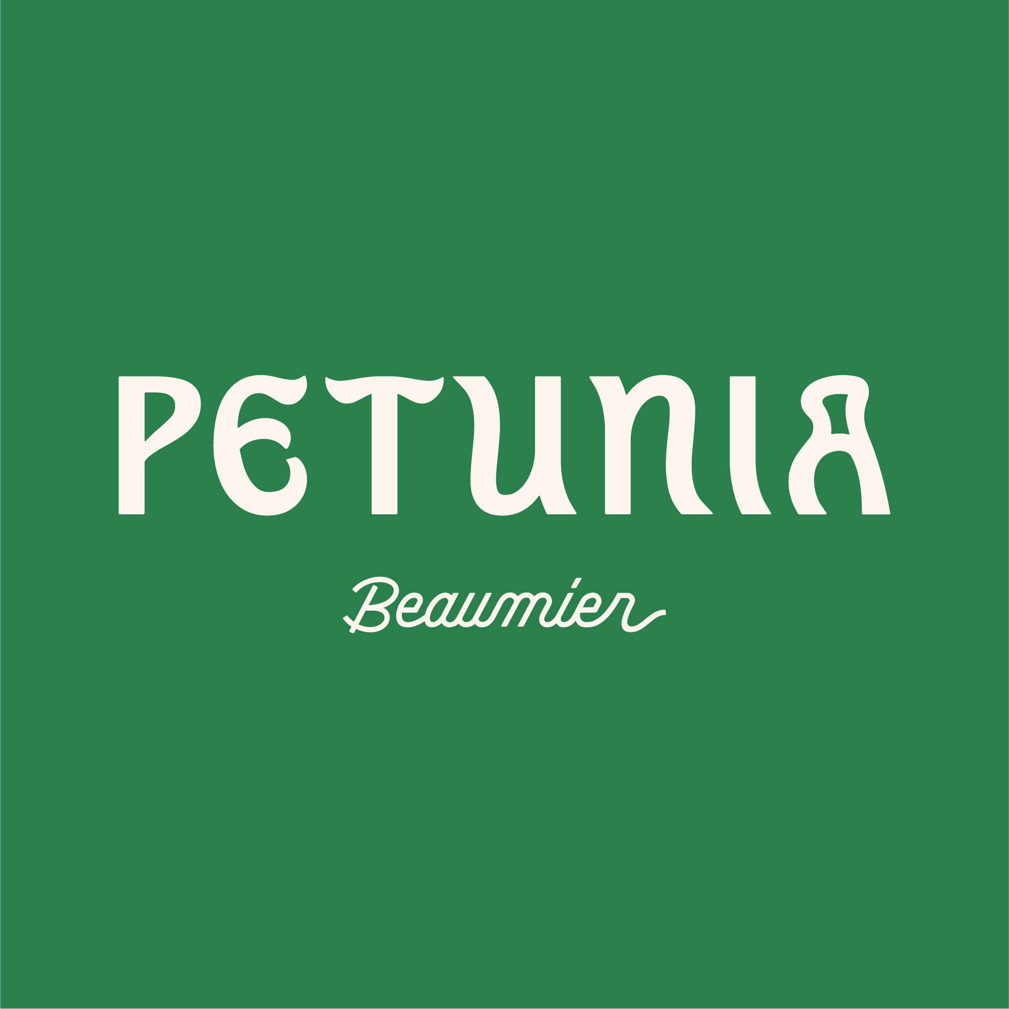 Petunia Ibiza, un hotel del gruppo Beaumier