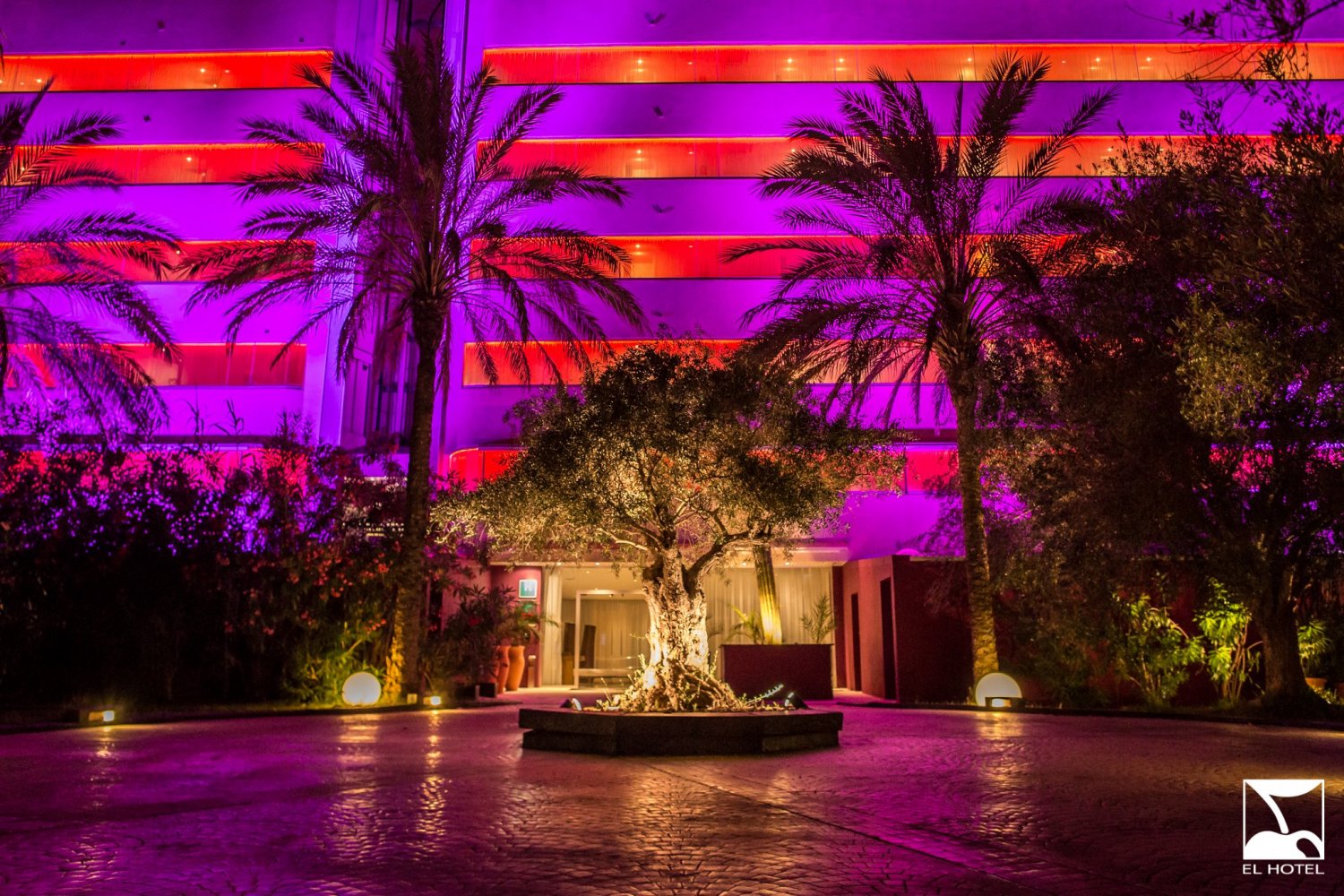 Pacha opens pop-up club Cherry Room over the winter on Ibiza | Ibiza  Spotlight