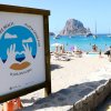 La Sostenibilità Conta - Fumare Responsabilmente sulle Spiagge di Ibiza