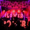 Super Flower Party en San Antonio