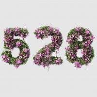 528 Garden - Eventos de agosto